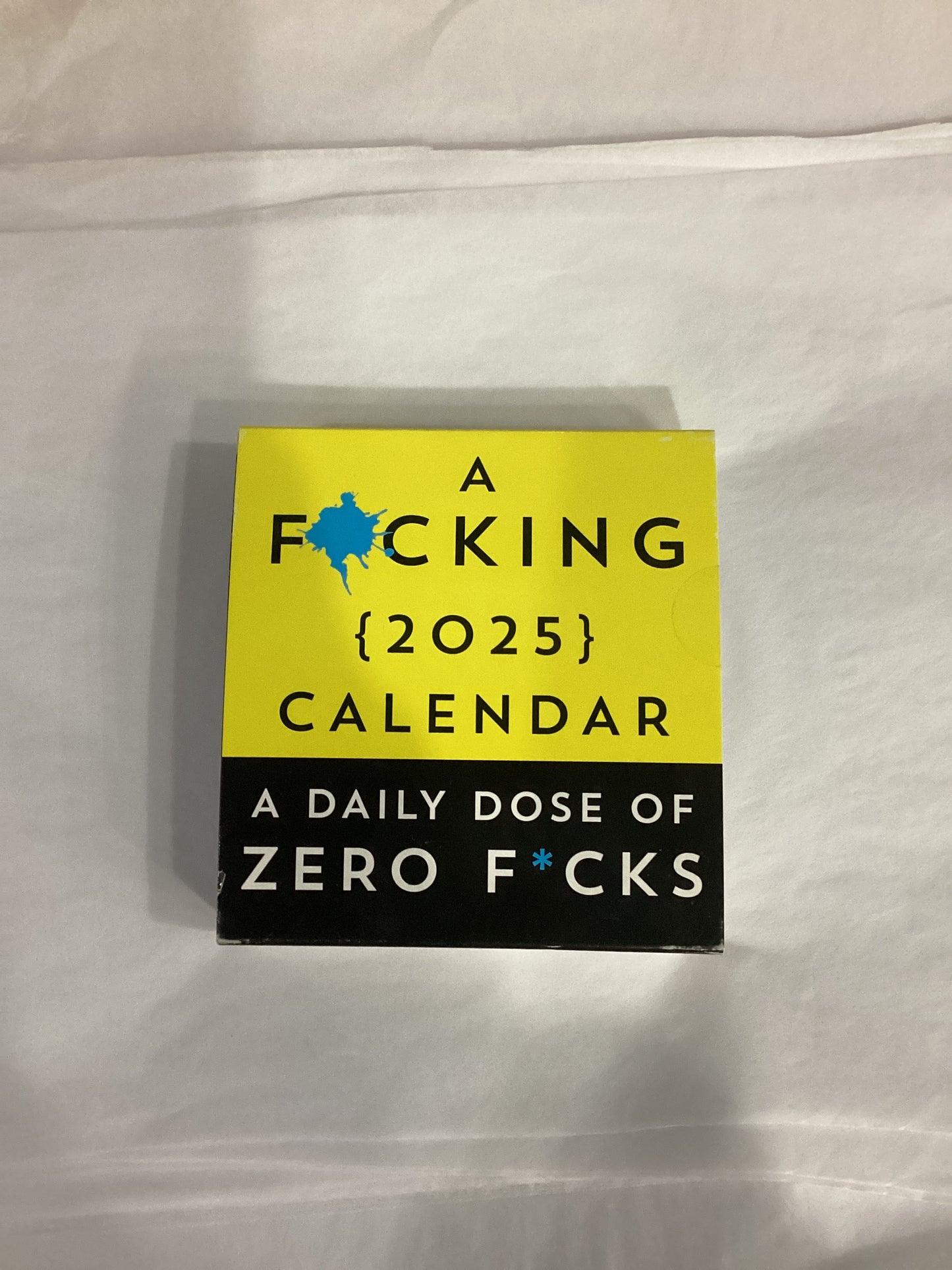 F*cking 2025 Boxed Calendar