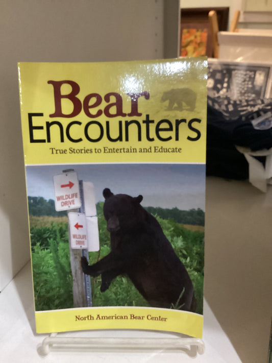 Bear Encounters