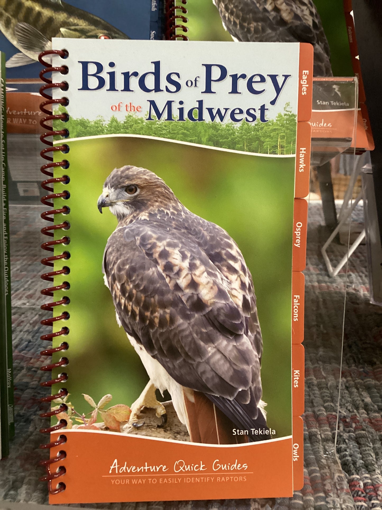 Birds of Prey Midwest