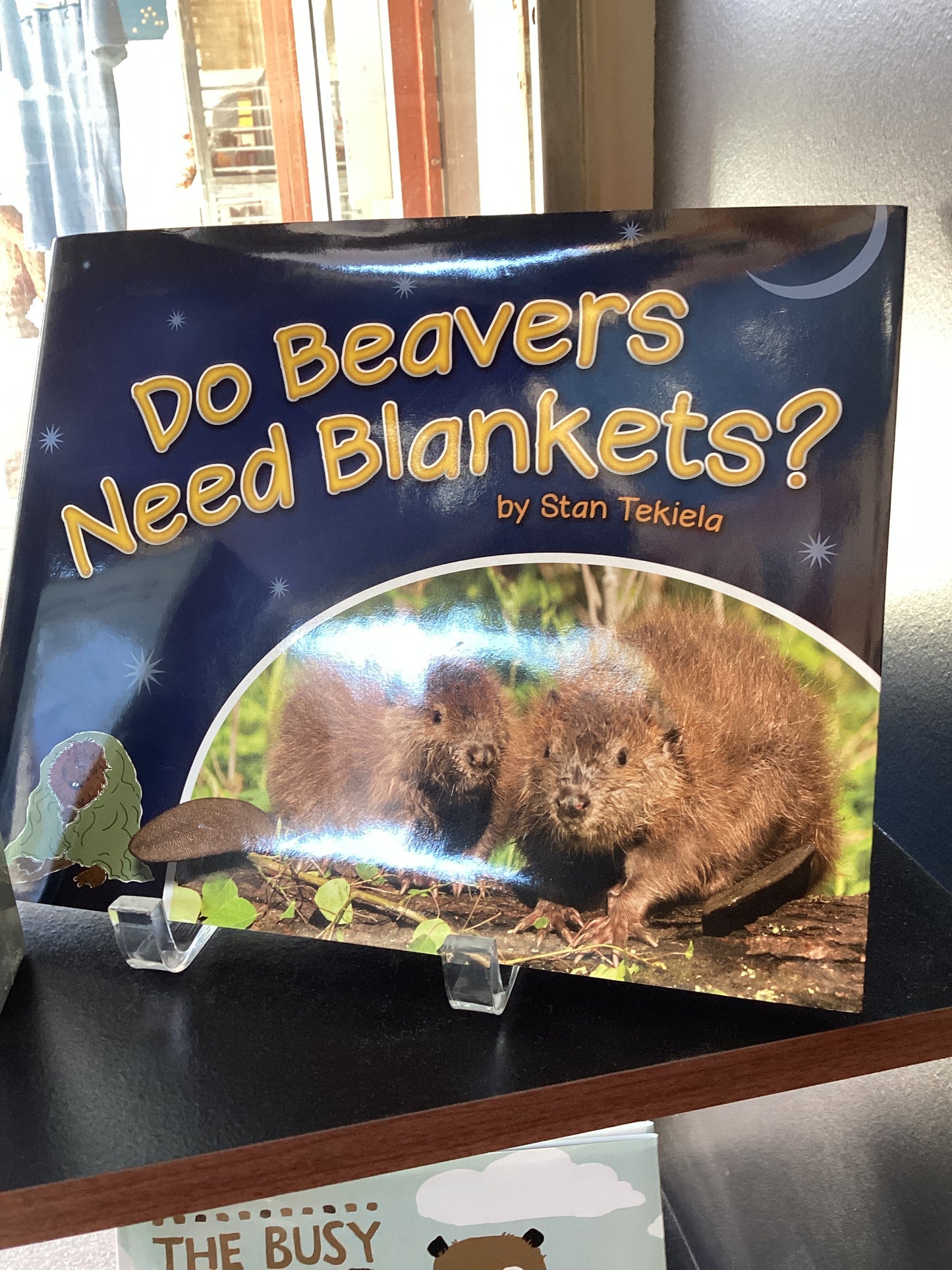 Do Beavers Need Blankets?