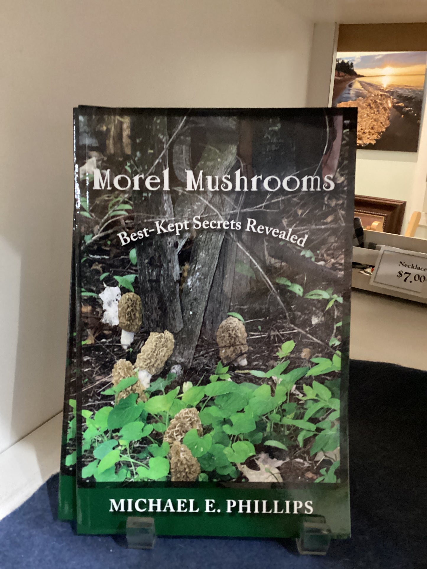 Morel Mushroom Secret