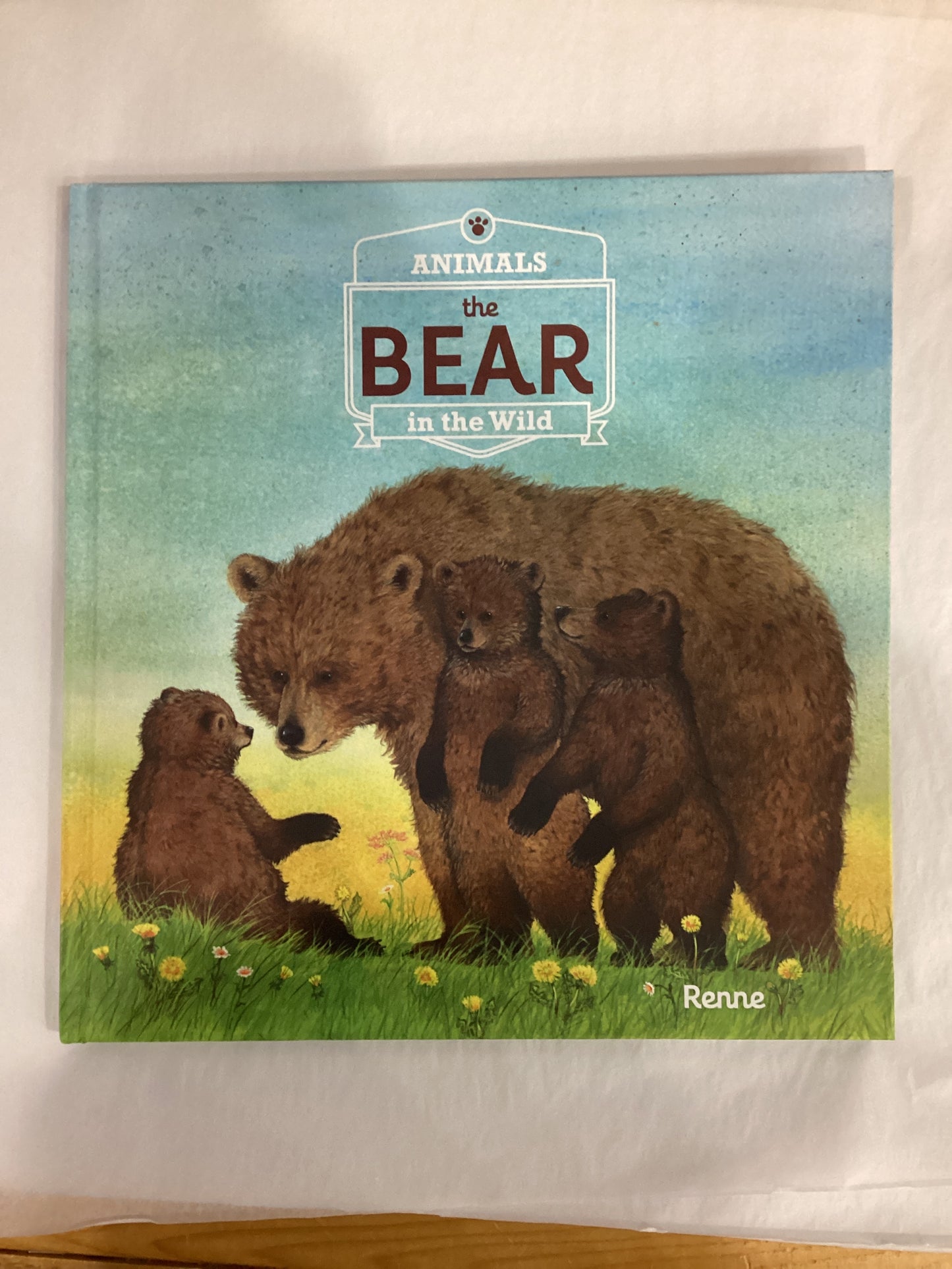 Animals in the Wild: The Bear-978160537299