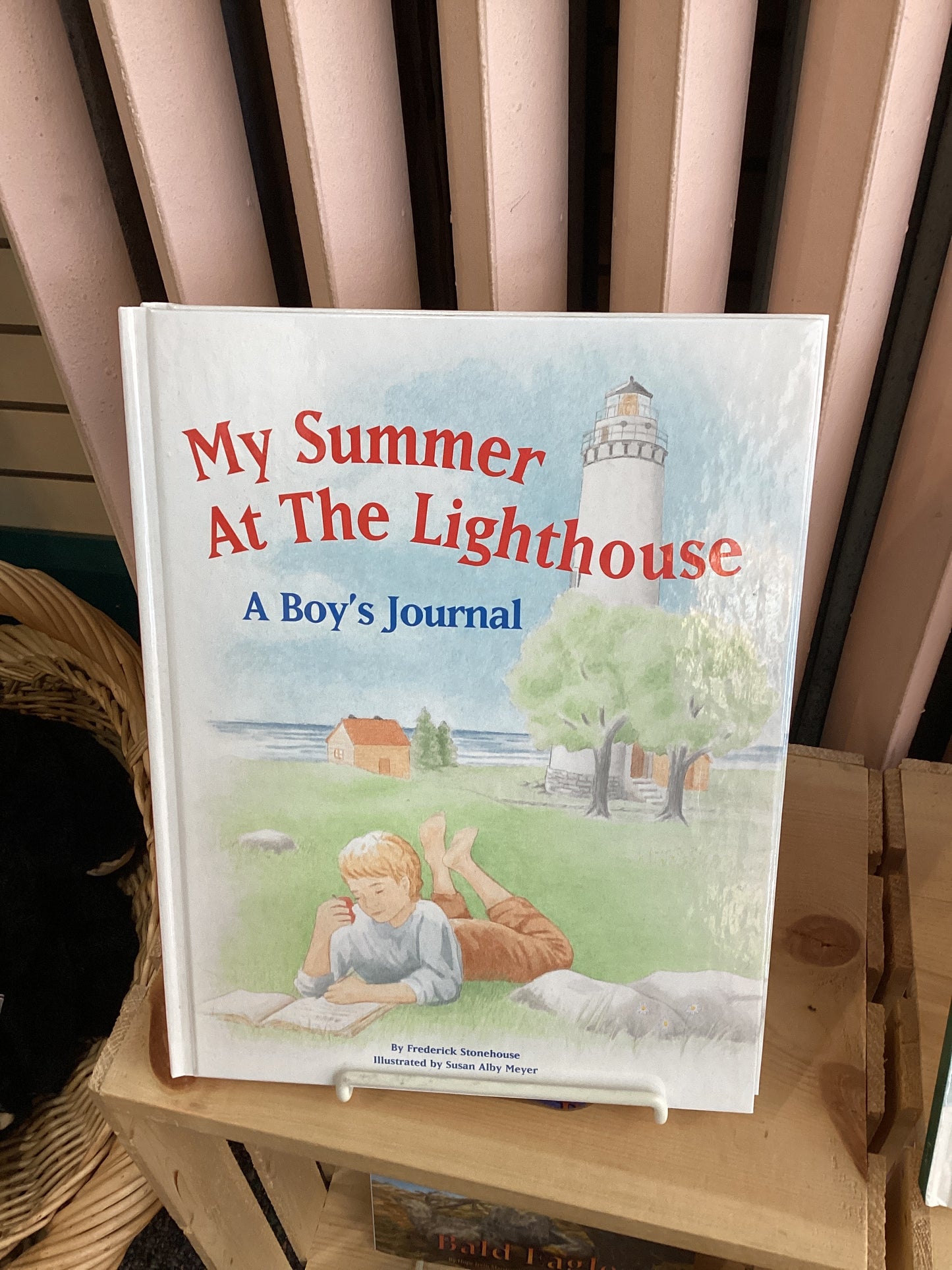 My Summer at the Lighthouse