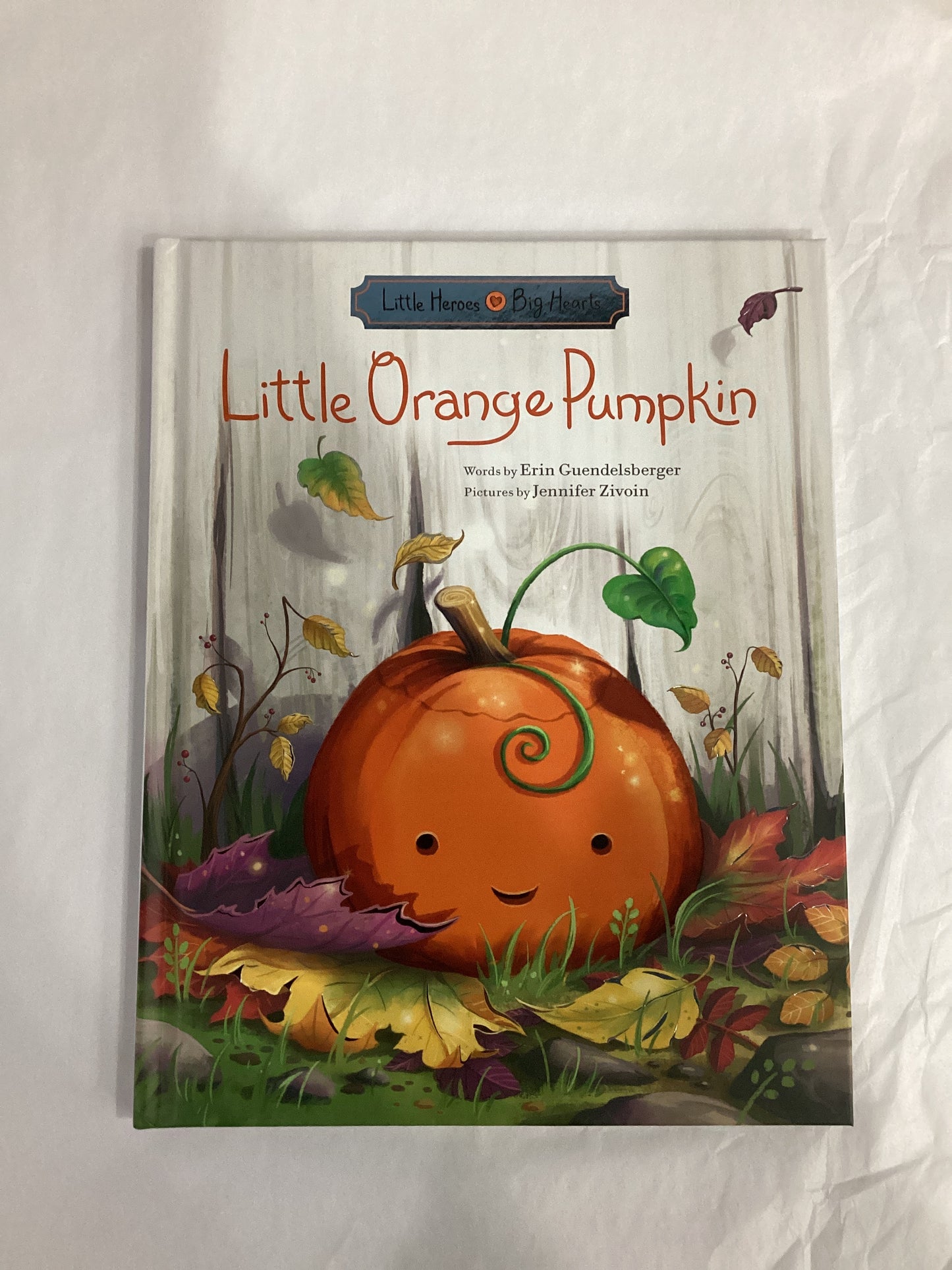 Little Orange Pumpkin