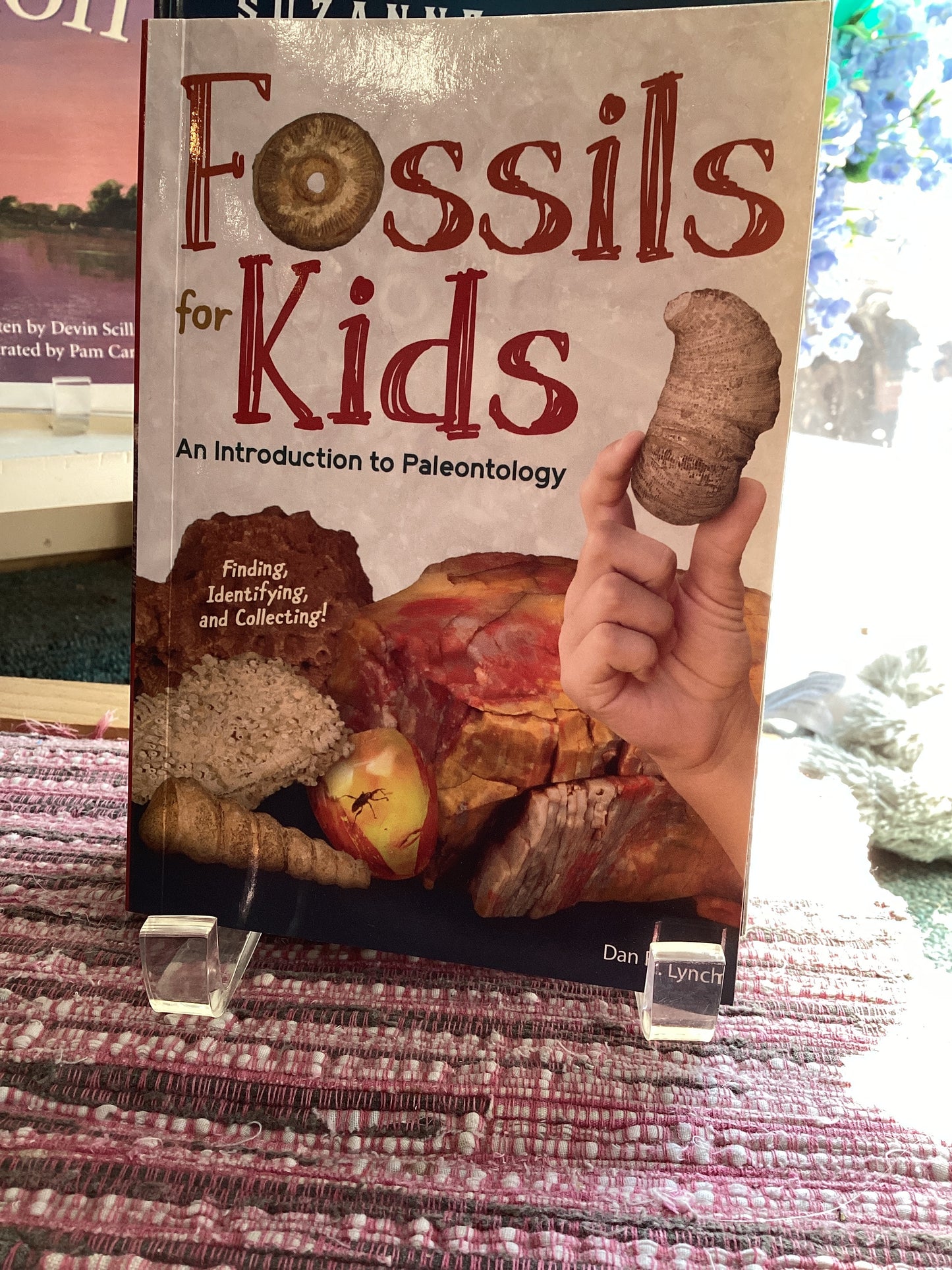 Fossils for Kids